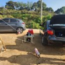 청명크린 | 10월 밭농사 일기(배추가 엄청 컸다!!)