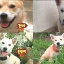 건이농장 이미지