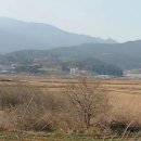 설천면051 Daum카페