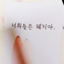 돼지야 이미지