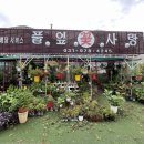 풀잎사랑화원 이미지