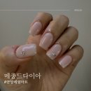 메종드다이아 이미지