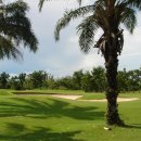 그린벨리 이미지