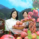 문경농협하나로마트 이미지