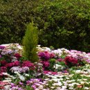 우치공원 이미지