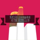 (광주)투르크권 문화예술축제 이미지