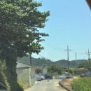 지에스(GS)25 포항흥해대로점 | 포항현지인맛집 솔밭메밀소바 주말 웨이팅 포항흥해맛집