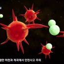 하나섬유 이미지