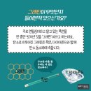 광선전기 이미지