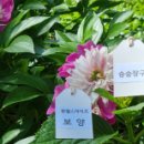 보양산업자원 이미지