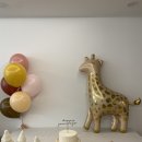 사라앤마르코 이미지