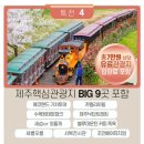 에코랜드 | #허니제주 홈쇼핑패키지 #내돈내산 리얼후기 #리턴변경 가능 #항공보안365 #실시간