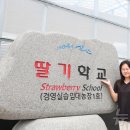 팔금농장 이미지