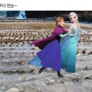투디