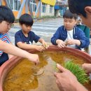 보령청과 이미지