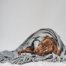 25시동물병원 이미지