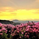 지리산 Daum카페