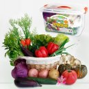 해피타운 이미지