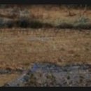 효령공인중개사사무소 이미지