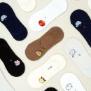주식회사위즈덤