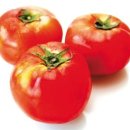 똑같은 품종의 토마토인데… 일본보다 훨씬 맛없는 이유 이미지