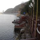 태화강 나룻배 이미지