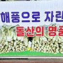 돌산갓장터마을 이미지