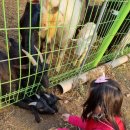 임진강목장 이미지