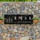 무주포레스트 이미지