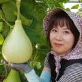 삽당령고송마을 이미지