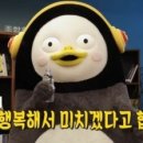 케이바디