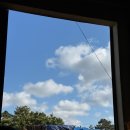 청명한의원 | 오직 제주도에서만 가능한 이색알바 선과장! 토나올 때까지 천혜향 선별한 후기