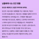 태양궁 | 신들린연애2 포스텔러 점성술 별자리 테스트 게 물병 염소