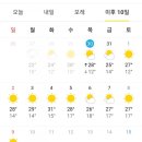차사랑손세차장 이미지