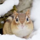 gc-camera-012 이미지