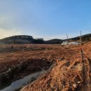 안면방포체육관 이미지