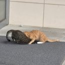 서부권스포츠센터 이미지