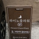 라이노플라워 | [신림꽃집] 라이노플라워에서 꽃다발 후기 :)