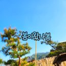 채원당(기차마을한옥) 이미지