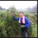 홍정농장 이미지