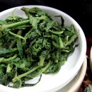 경북곰장어 이미지