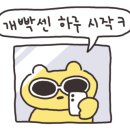 명지 해솥 이미지