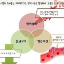 오혜숙생활단식 감기 면역력