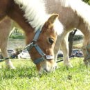 마장농장 이미지