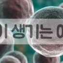 멀정 하던 몸에 암이 생기는 이유 이미지