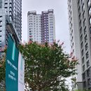 개포이화공인중개사사무소 이미지