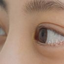 속눈썹바람이분다