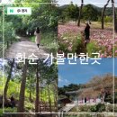 화순통닭