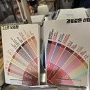 쿨데삭 이미지