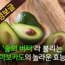 아모카
